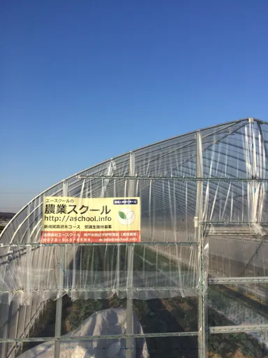 エースクール ビニールハウス2