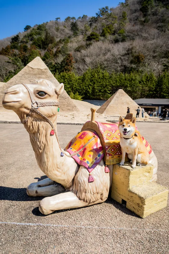 エジプトゾーン