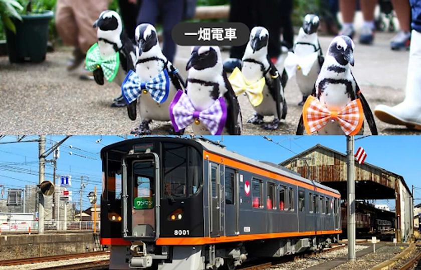 出雲大社観光に便利　一畑電車が1日乗り放題　
松江フォーゲルパーク入園券付き乗車券を
モバイルチケットで販売開始