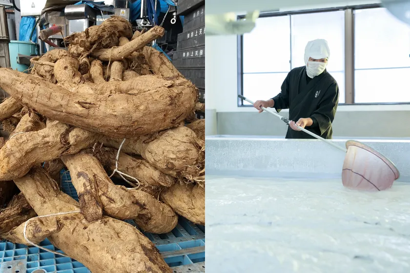 Makuakeプロジェクト_天極堂とろりくずゆ_葛根＆製造の様子