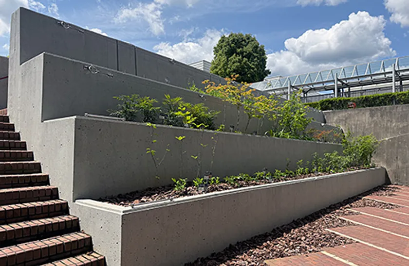 写真3:「癒しと緑の実証フィールド」