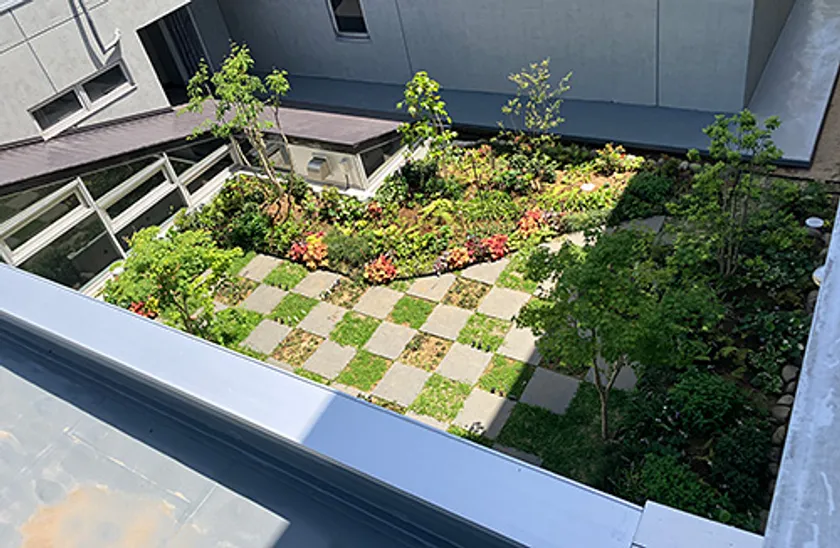 写真4:「日かげと緑の実証フィールド」