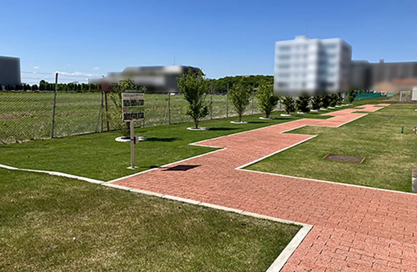 写真5:「生物多様性緑化実証フィールド」