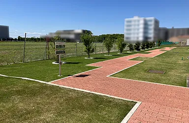 写真5：「生物多様性緑化実証フィールド」