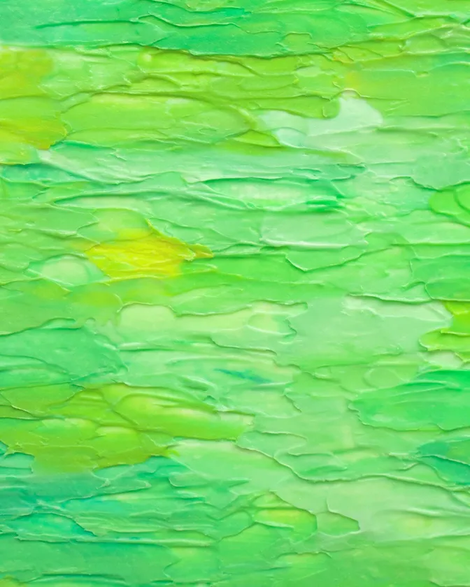 355イメージビジュアル