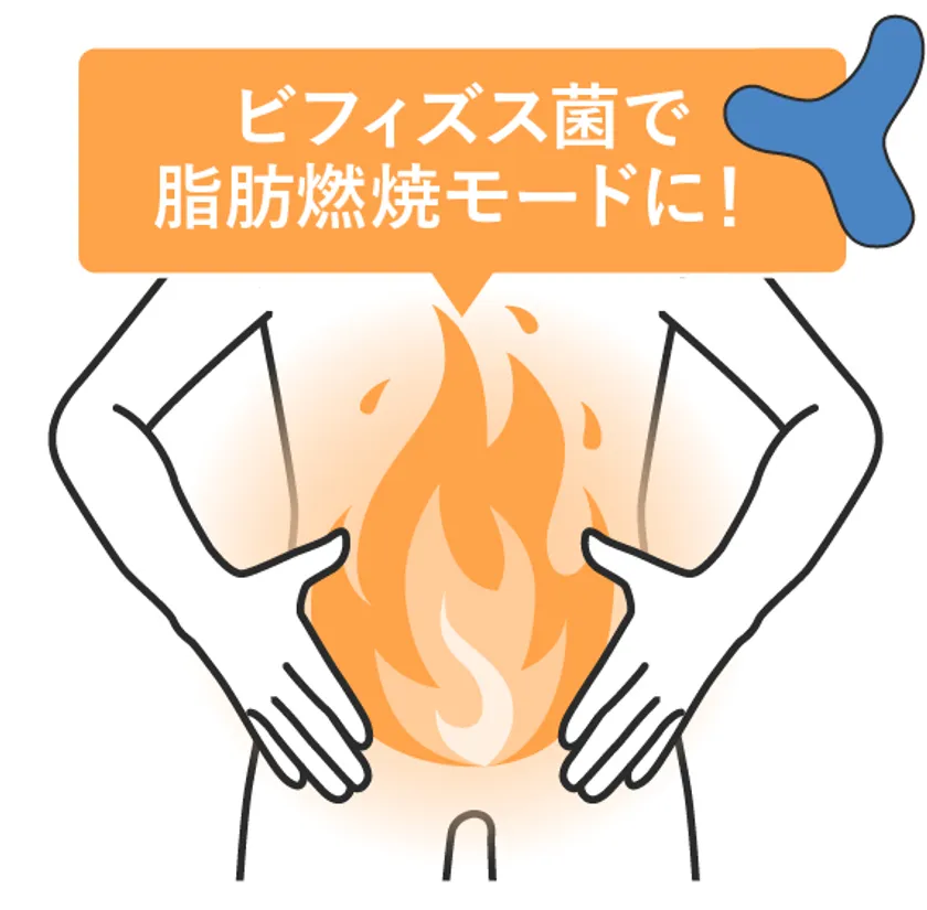 脂肪燃焼モードに