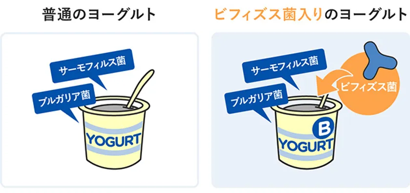 ヨーグルトにおける大きな違い