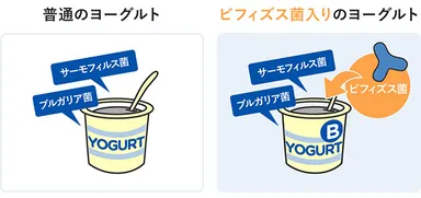 ヨーグルトにおける大きな違い