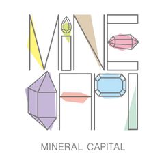 一般社団法人ミネラルキャピタル