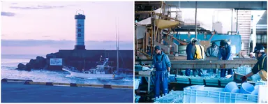 魚の灯り　ブランドコンセプト