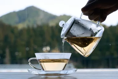 カウンター席からは美山の美しい景色が眺められます