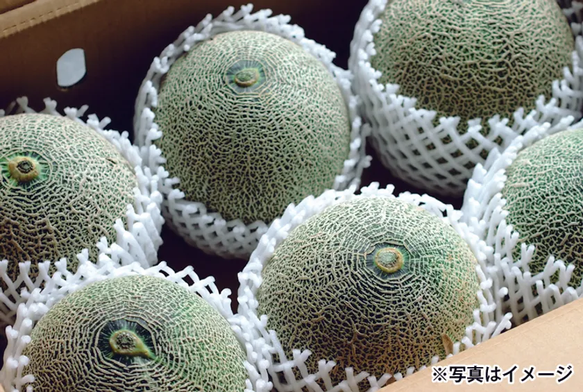 茨城県産 メロンの特売