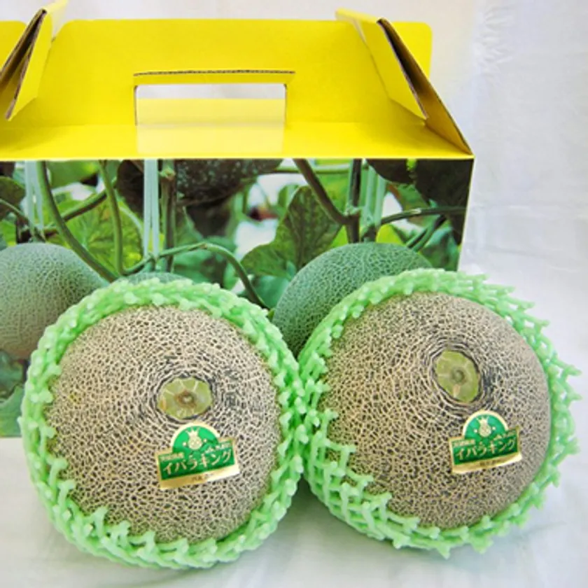 なだろう「イバラキング」