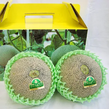 なだろう「イバラキング」