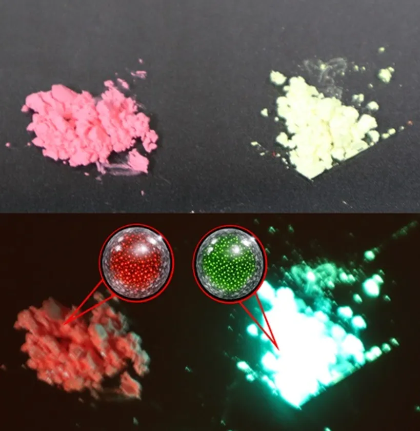 Rhodamine B(赤、左)と Fluorescein(緑、右)を加えたシリカ複合体です。上は室内の光で見た様子、下はLED(波長405 nm)を当てたときの発光の様子です。各粉末の拡大図は、複合体の構造イメージを示しています。