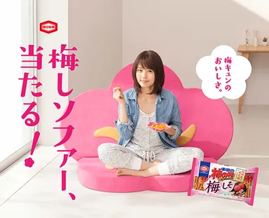 キャンペーンデータ １