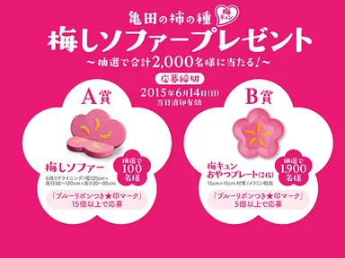 キャンペーンデータ ２