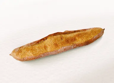 レトロバゲット