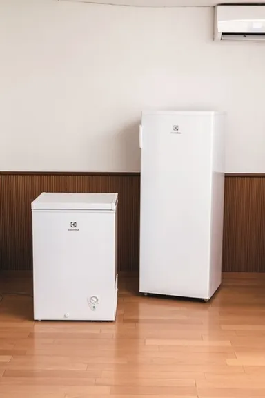 エレクトロラックス冷凍庫