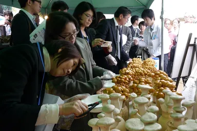 きのこ狩りを体験するメディア関係者