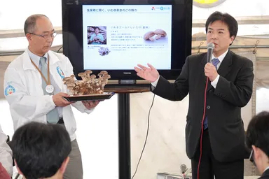 「他産地との味の違いをアピールする時期になっている」と語る農事組合法人いわき菌床椎茸組合　専務の松本さん