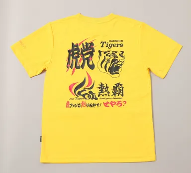 覇動置き黄色後身