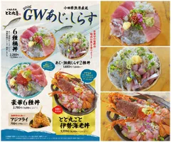 GW限定！しらす・あじの旬を食べ尽くす！
