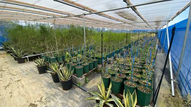 群馬県邑楽郡千代田町にグランドオープンする植栽専門大型プロショップ『Kayu style Botaniqa Atelier』(4)