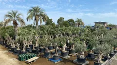 群馬県邑楽郡千代田町にグランドオープンする植栽専門大型プロショップ『Kayu style Botaniqa Atelier』(1)