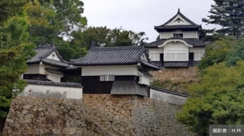 時を超えて残り続ける城。城の日に見つめ直すその存在意義