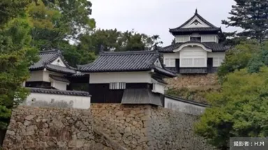 時を超えて残り続ける城。城の日に見つめ直すその存在意義