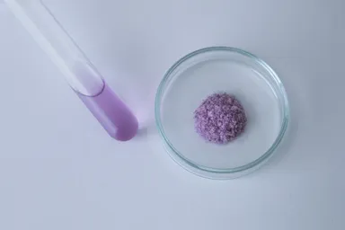 フラーティクル