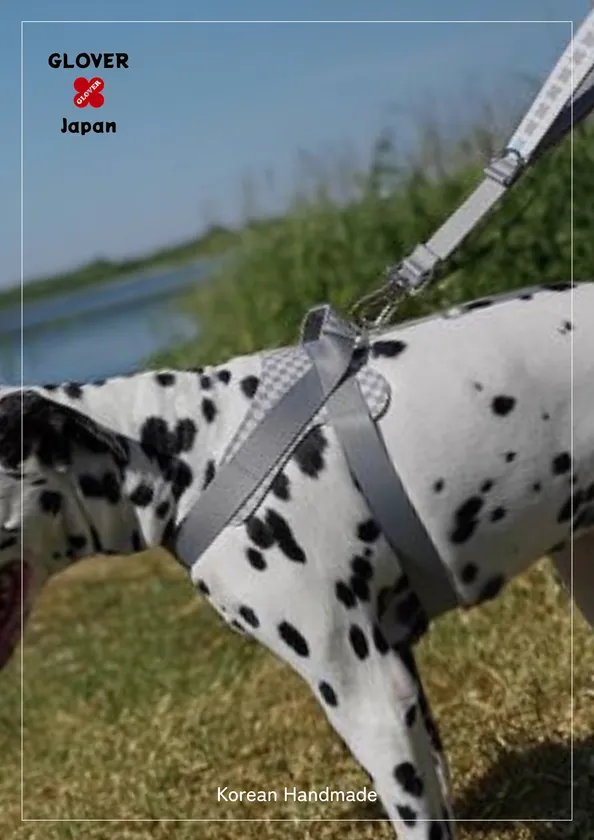ハーネス大型犬着用