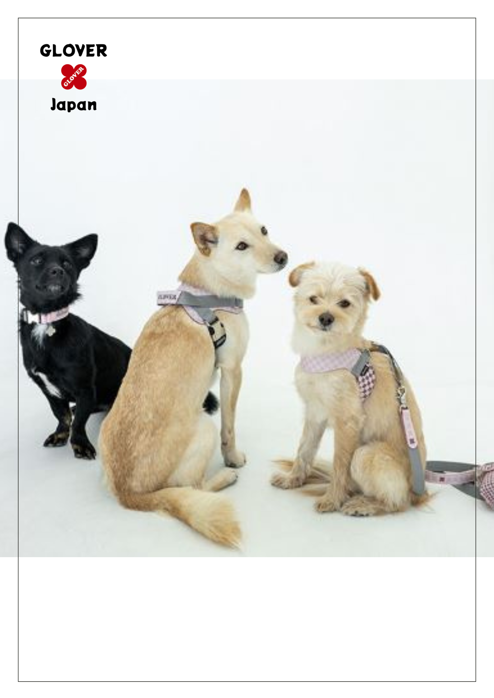 新品【定価1.3万】犬首輪リード　USA製ハンドメイドワンダードッグニューヨーク 新品【定価1.3万】犬首輪リード USA製ハンドメイドワンダードッグ