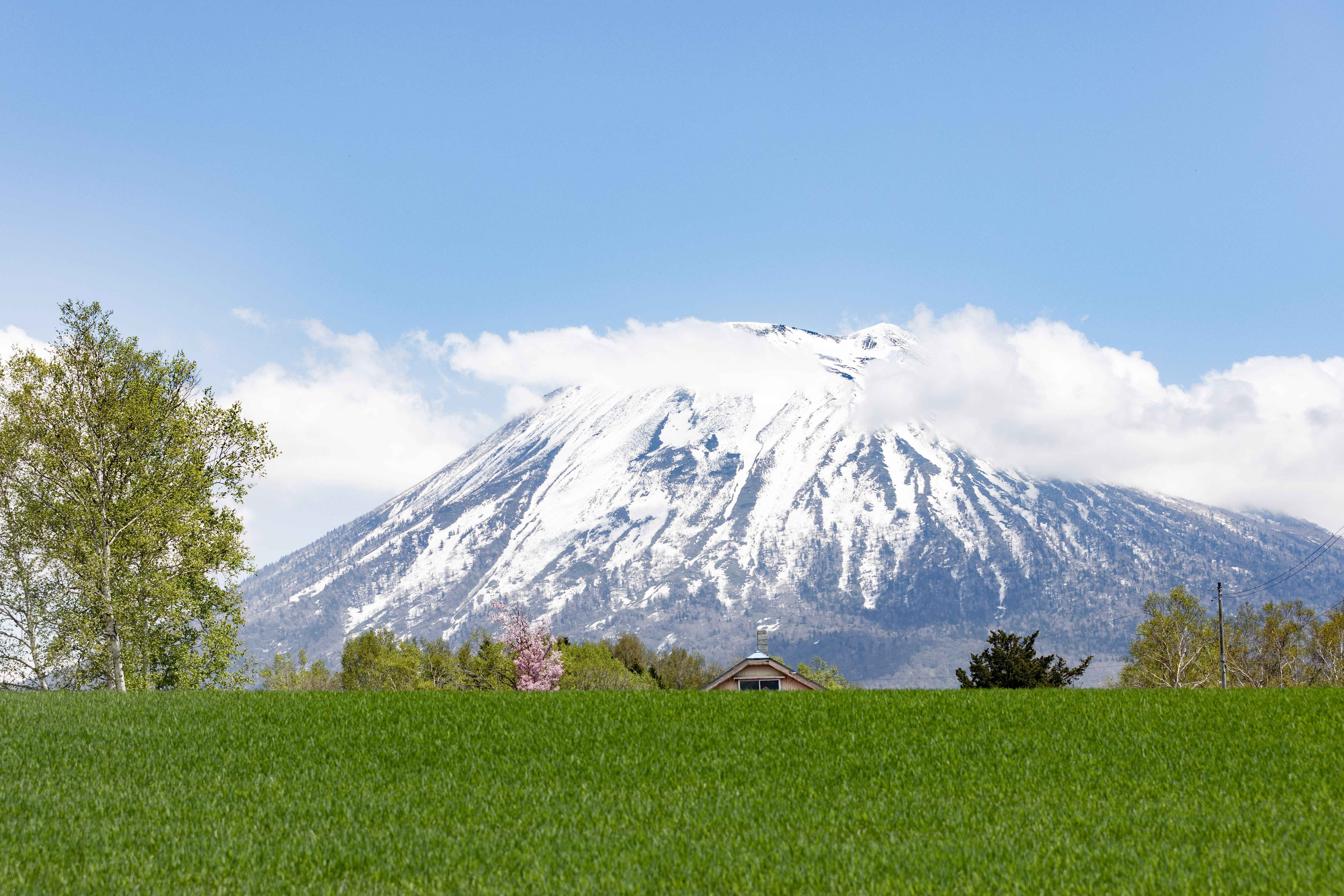桜・新緑・春紅葉・雪山、 4つの季節が一度に交差する、春のニセコへ