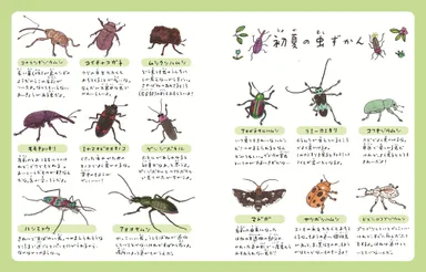 《中面見開き》1