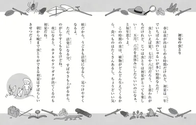 《中面見開き》3