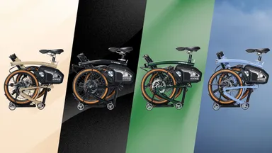 カラーサンプル