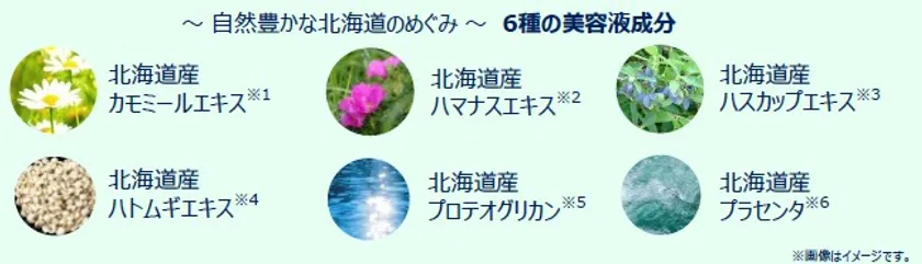 北海道産の美容液成分