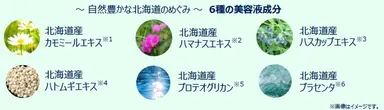 北海道産の美容液成分