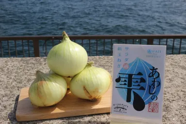 淡路島新玉葱