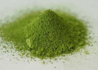 熊本県初の本格的抹茶・人吉藩抹茶