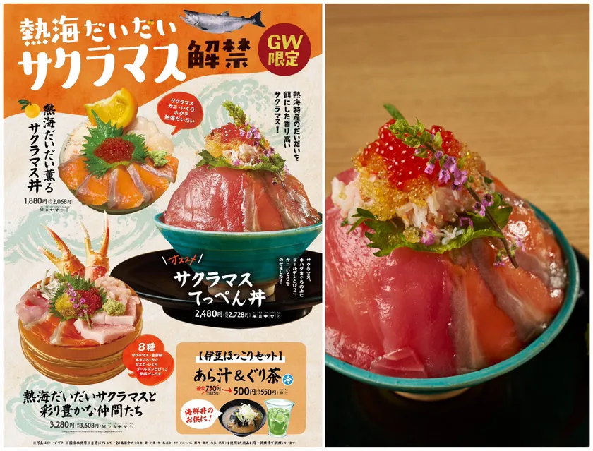 熱海だいだいサクラマス解禁!