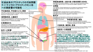 ナノプラスチックなどのプラスチック汚染の健康被害