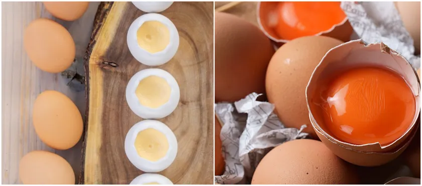 TAMAGOYAスイーツ・デリの特別ショップ