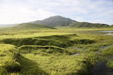 (3)背景：木下 史雄 撮影