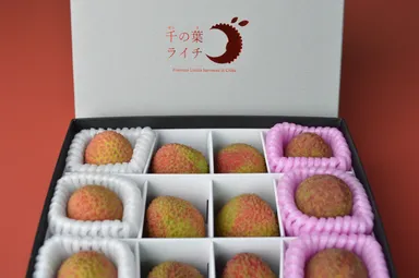 贈答用箱入ライチ