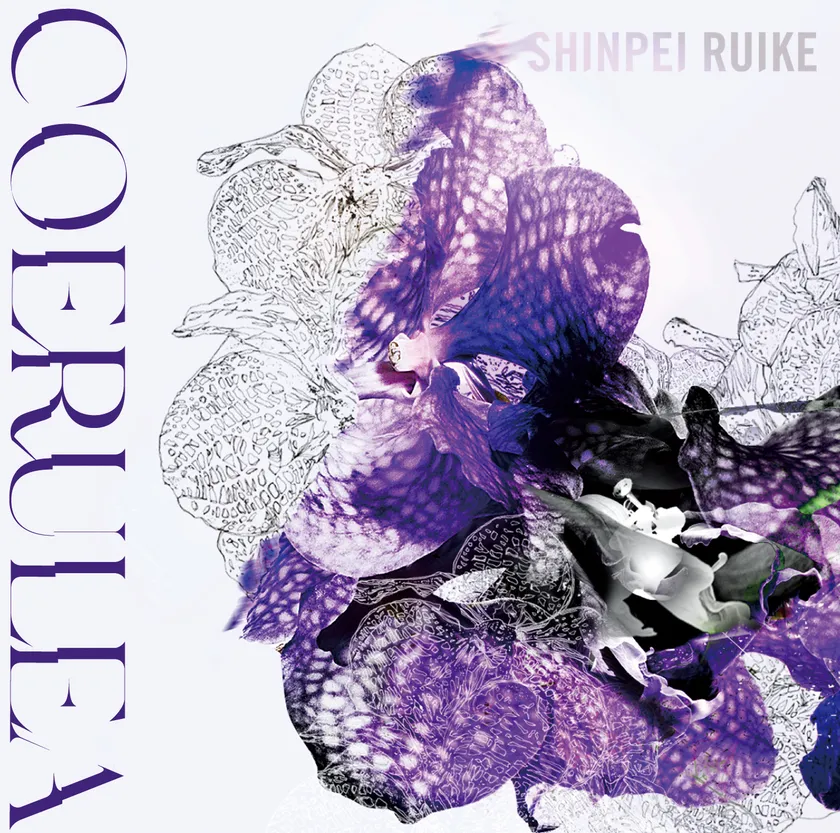 DOD-062 類家心平『セルレア』jacket