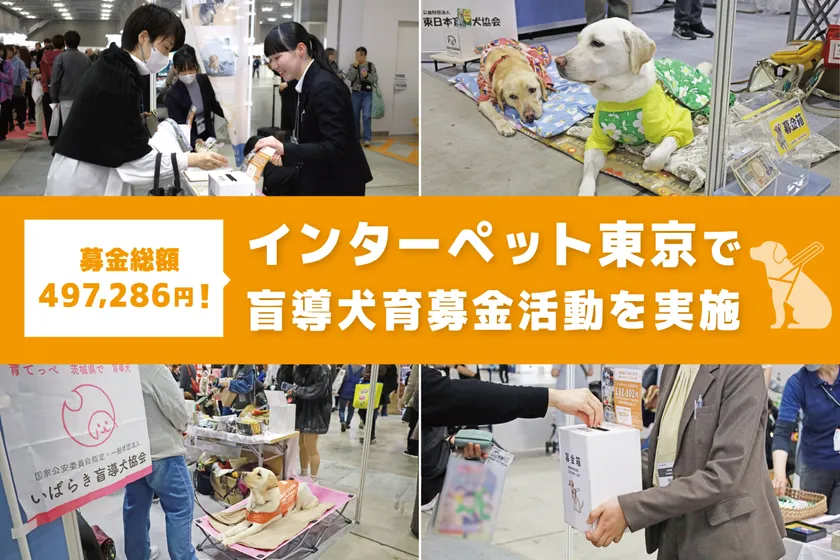 インターペット東京2026で募金活動を実施
