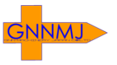 GNN Machinery Japan 株式会社のロゴ